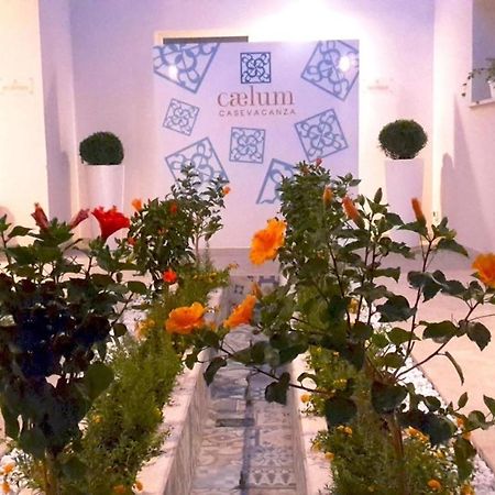 Caelum Case Vacanza Trapani Kültér fotó