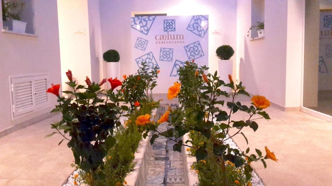 Caelum Case Vacanza Trapani Kültér fotó